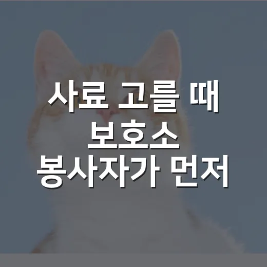 사료 고를 때 보호소 봉사자가 먼저 보는 5가지 숫자 - 요약