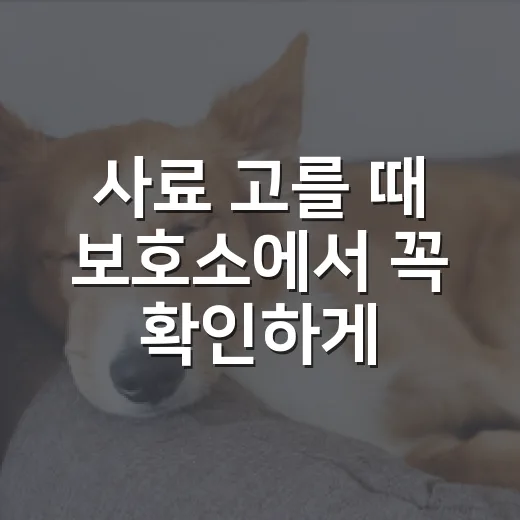 사료 고를 때 보호소에서 꼭 확인하게 된 7가지 기준 - 요약