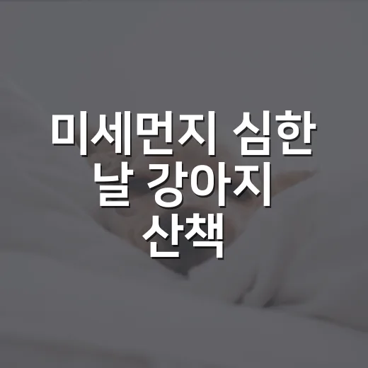 미세먼지 심한 날 강아지 산책, 보호자가 확인할 5가지 기준 - 요약