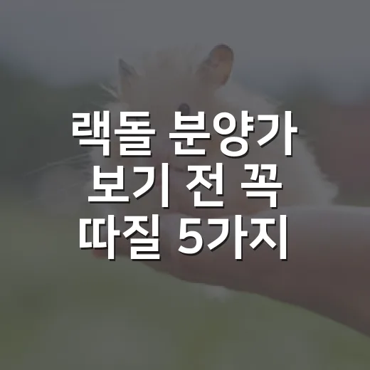 랙돌 분양가 보기 전 꼭 따질 5가지 비용 - 요약