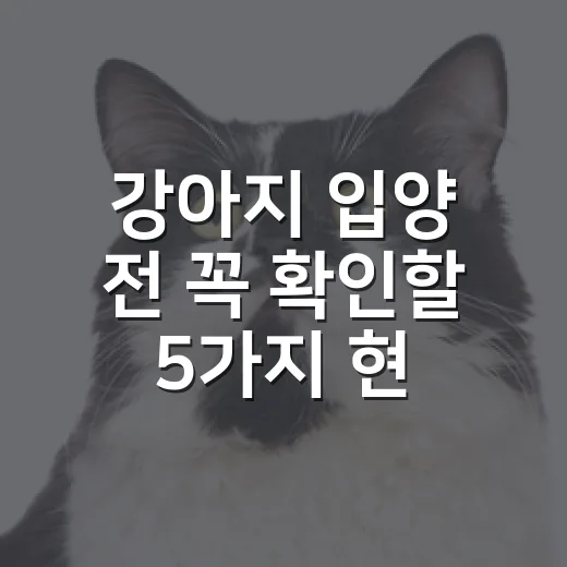 강아지 입양 전 꼭 확인할 5가지 현실 체크 - 요약