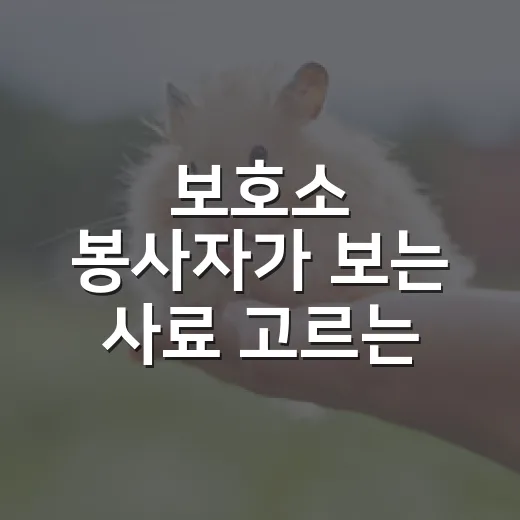 보호소 봉사자가 보는 사료 고르는 6가지 기준 - 요약
