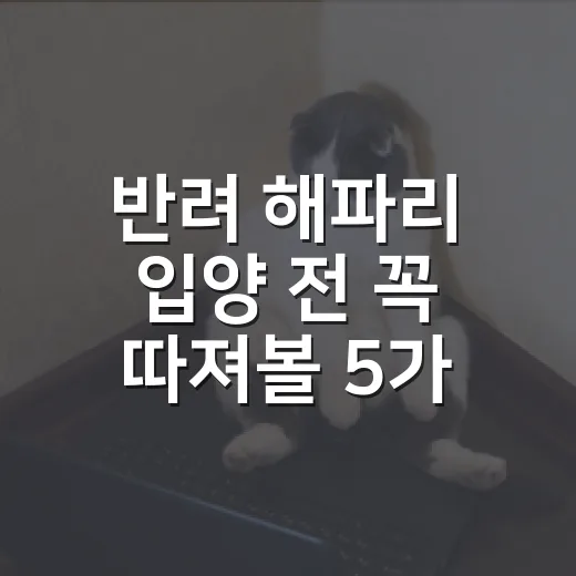 반려 해파리 입양 전 꼭 따져볼 5가지 - 요약