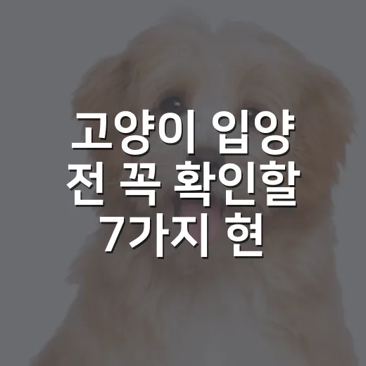고양이 입양 전 꼭 확인할 7가지 현실 체크 - 요약