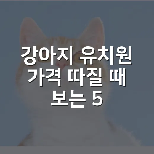 강아지 유치원 가격 따질 때 보는 5가지 기준 - 요약
