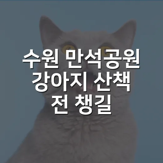 수원 만석공원 강아지 산책 전 챙길 5가지 - 요약