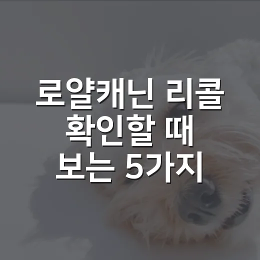 로얄캐닌 리콜 확인할 때 보는 5가지 기준 - 요약