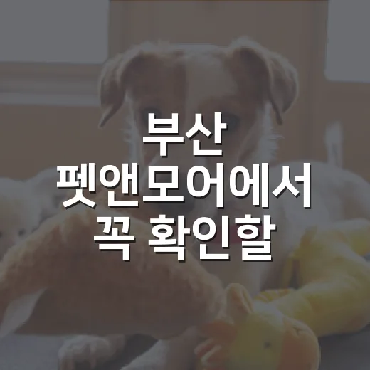부산 펫앤모어에서 꼭 확인할 5가지 반려동물 체크포인트 - 요약