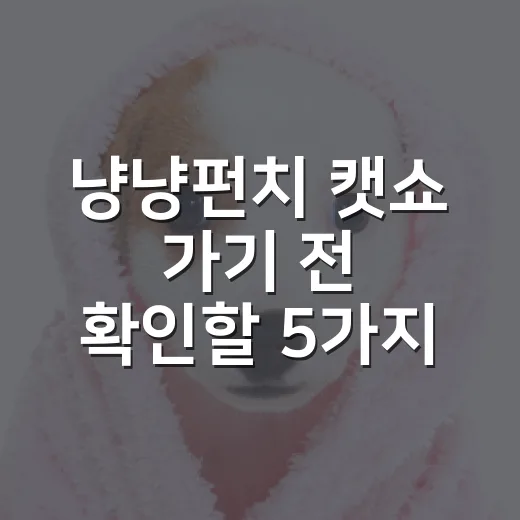 냥냥펀치 캣쇼 가기 전 확인할 5가지 기준 - 요약