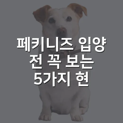 페키니즈 입양 전 꼭 보는 5가지 현실 체크 - 요약