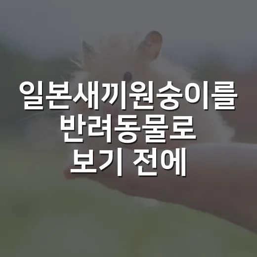 일본새끼원숭이를 반려동물로 보기 전에 따져야 할 5가지 - 요약