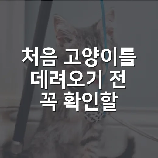 처음 고양이를 데려오기 전 꼭 확인할 7가지 - 요약