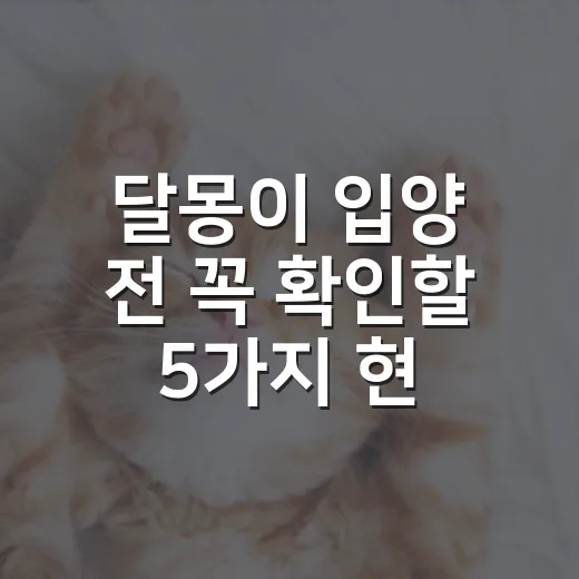 달몽이 입양 전 꼭 확인할 5가지 현실 체크 - 요약