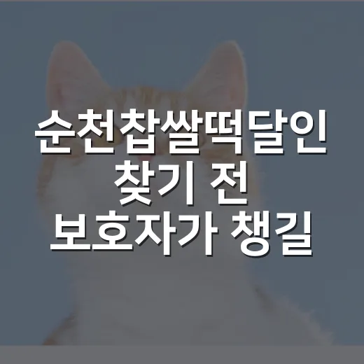 순천찹쌀떡달인 찾기 전 보호자가 챙길 5가지 - 요약