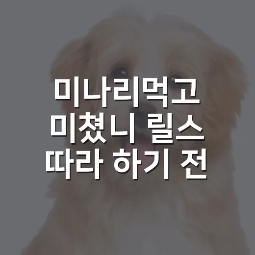 미나리먹고 미쳤니 릴스 따라 하기 전 확인할 5가지 - 요약