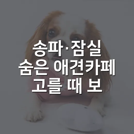 송파·잠실 숨은 애견카페 고를 때 보는 5가지 기준 - 요약