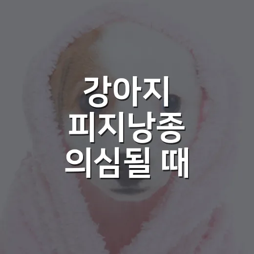 강아지 피지낭종 의심될 때 보호자가 봐야 할 5가지 - 요약