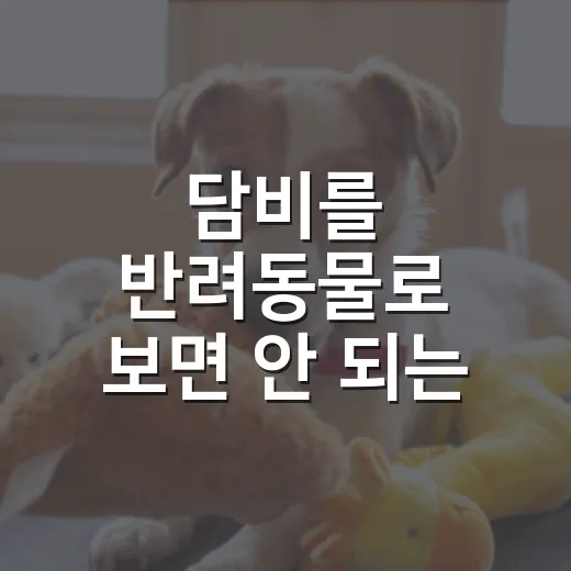 담비를 반려동물로 보면 안 되는 5가지 이유 - 요약