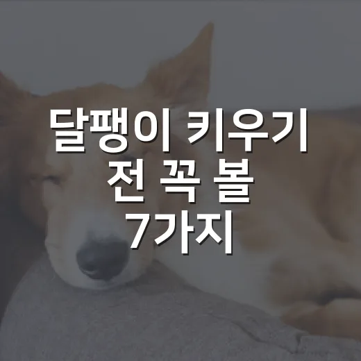 달팽이 키우기 전 꼭 볼 7가지: 온도·습도·먹이·수명까지 - 요약