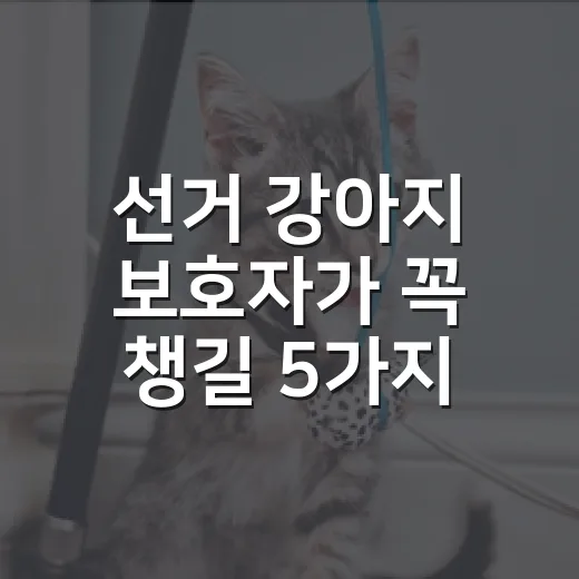 선거 강아지 보호자가 꼭 챙길 5가지 안전 기준 - 요약