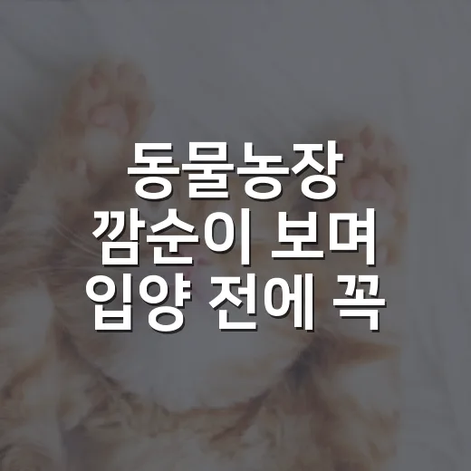 동물농장 깜순이 보며 입양 전에 꼭 점검할 5가지 - 요약