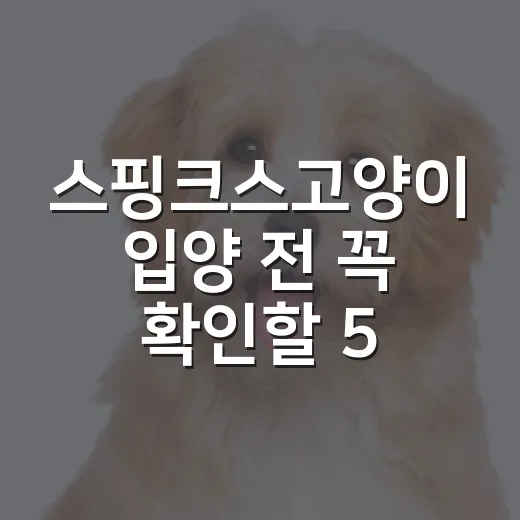 스핑크스고양이 입양 전 꼭 확인할 5가지 현실 - 요약