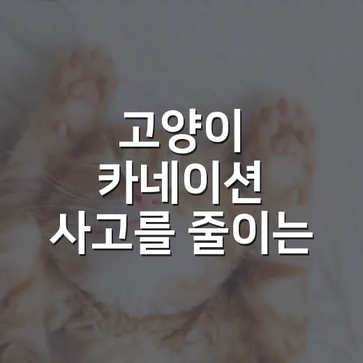 고양이 카네이션 사고를 줄이는 5가지 확인법 - 요약