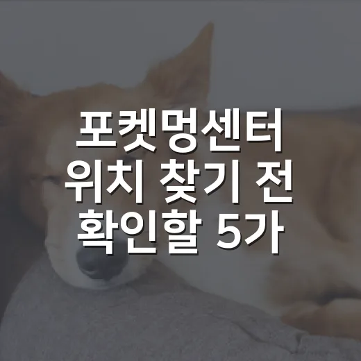 포켓멍센터 위치 찾기 전 확인할 5가지 - 요약