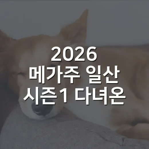 2026 메가주 일산 시즌1 다녀온 뒤 남기는 5가지 현실 체크 - 요약