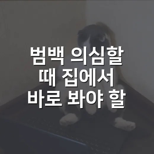 범백 의심할 때 집에서 바로 봐야 할 5가지 신호 - 요약