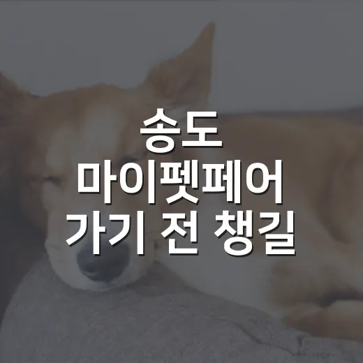송도 마이펫페어 가기 전 챙길 7가지 현실 체크 - 요약