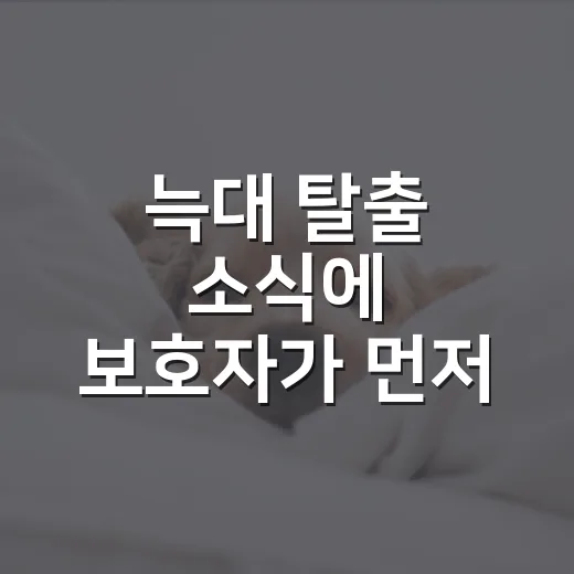 늑대 탈출 소식에 보호자가 먼저 확인할 5가지 - 요약