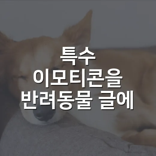 특수 이모티콘을 반려동물 글에 쓰는 5가지 기준 - 요약