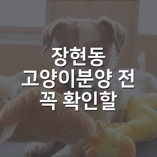 장현동 고양이분양 전 꼭 확인할 7가지 책임 기준 - 요약