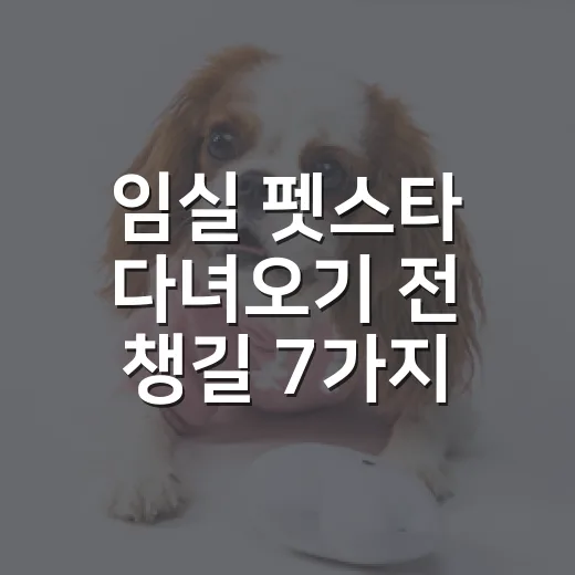 임실 펫스타 다녀오기 전 챙길 7가지, 반려견보다 보호자 준비가 먼저입니다 - 요약