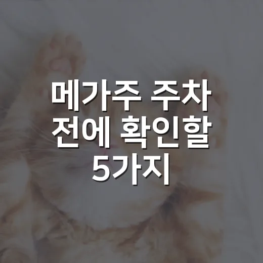 메가주 주차 전에 확인할 5가지: 킨텍스 요금·혼잡 시간·반려동물 동선 - 요약