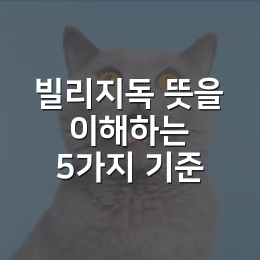 빌리지독 뜻을 이해하는 5가지 기준 - 요약