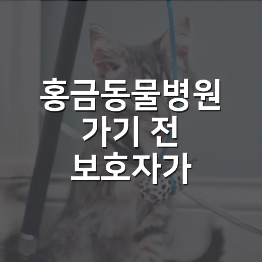 홍금동물병원 가기 전 보호자가 확인할 5가지 - 요약