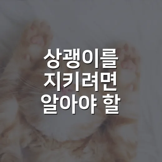 상괭이를 지키려면 알아야 할 5가지 현실 - 요약