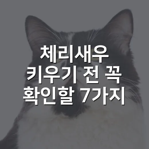 체리새우 키우기 전 꼭 확인할 7가지 기준 - 요약
