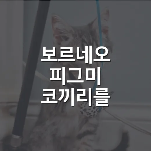 보르네오 피그미 코끼리를 기억해야 하는 5가지 이유 - 요약