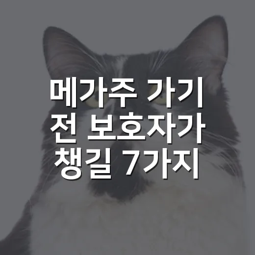 메가주 가기 전 보호자가 챙길 7가지 기준 - 요약