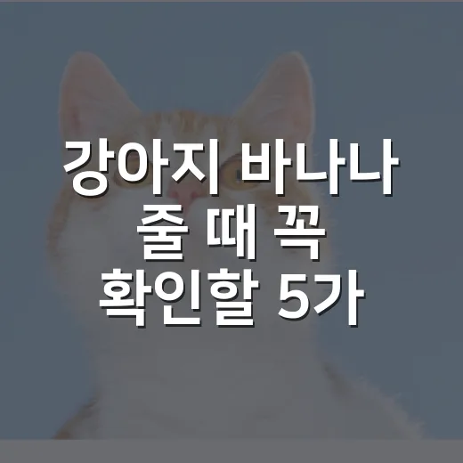 강아지 바나나 줄 때 꼭 확인할 5가지 기준 - 요약