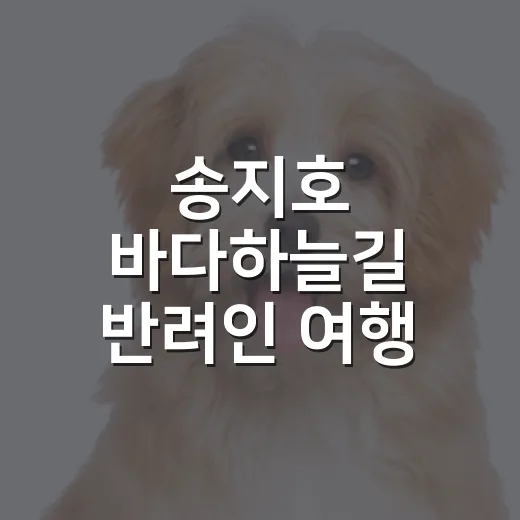 송지호 바다하늘길 반려인 여행 전 챙길 5가지 - 요약
