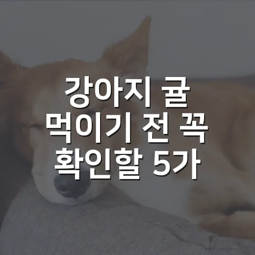 강아지 귤 먹이기 전 꼭 확인할 5가지 기준 - 요약