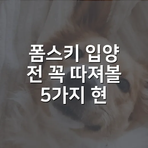 폼스키 입양 전 꼭 따져볼 5가지 현실 - 요약