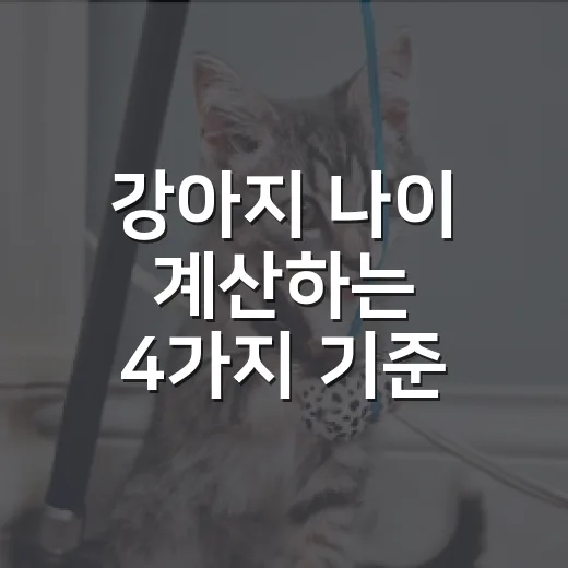 강아지 나이 계산하는 4가지 기준, 7살부터가 전부 노령은 아닙니다 - 요약