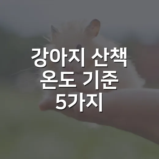 강아지 산책 온도 기준 5가지, 몇 도부터 줄여야 할까 - 요약