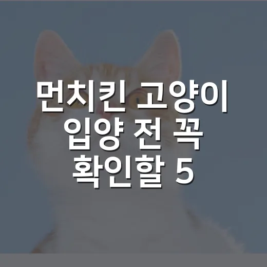 먼치킨 고양이 입양 전 꼭 확인할 5가지 현실 - 요약