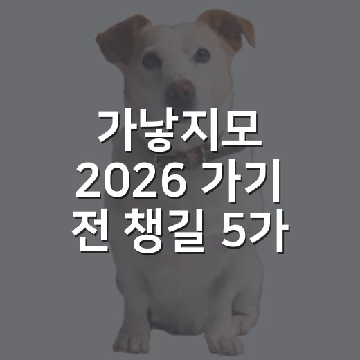 가낳지모 2026 가기 전 챙길 5가지: 사료, 모래, 건강상담까지 - 요약
